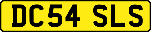 DC54SLS