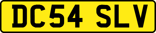DC54SLV