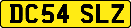 DC54SLZ