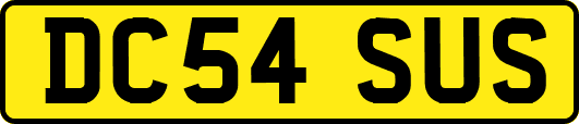 DC54SUS