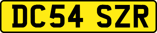 DC54SZR