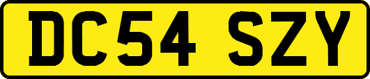 DC54SZY