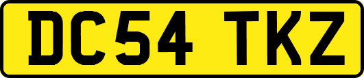 DC54TKZ