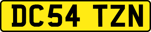 DC54TZN