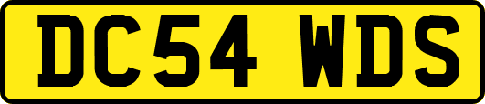 DC54WDS