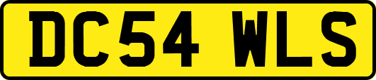 DC54WLS