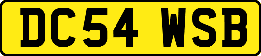 DC54WSB