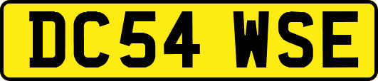 DC54WSE
