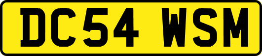 DC54WSM
