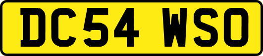 DC54WSO