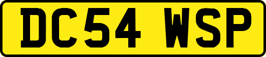 DC54WSP