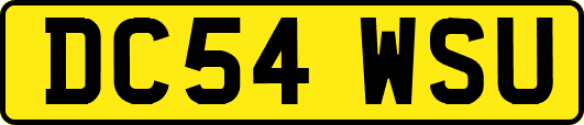 DC54WSU