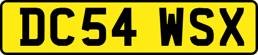 DC54WSX