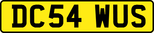 DC54WUS