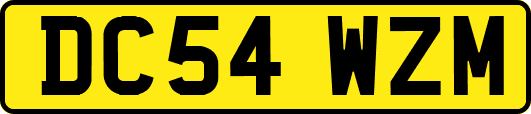 DC54WZM