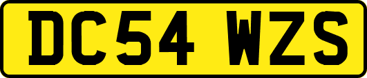 DC54WZS