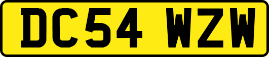DC54WZW