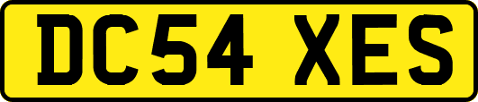 DC54XES
