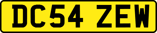 DC54ZEW