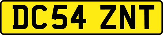 DC54ZNT