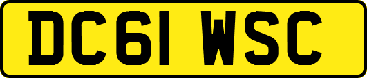DC61WSC