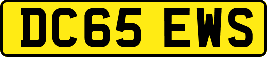 DC65EWS