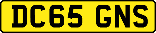 DC65GNS