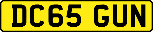 DC65GUN