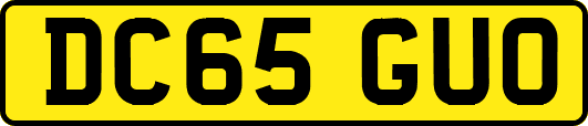 DC65GUO