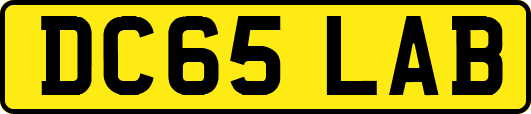 DC65LAB