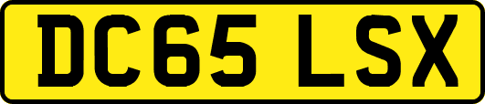 DC65LSX