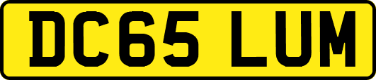 DC65LUM