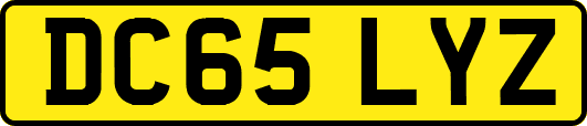 DC65LYZ