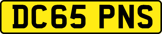 DC65PNS