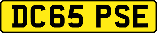 DC65PSE