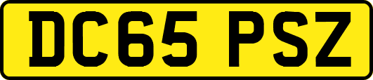 DC65PSZ