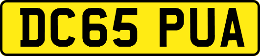 DC65PUA