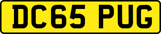 DC65PUG