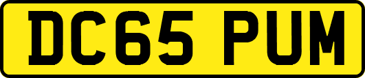 DC65PUM
