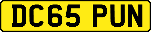 DC65PUN