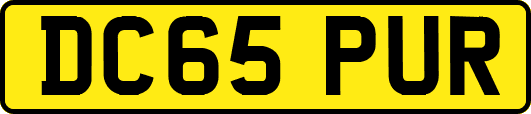 DC65PUR