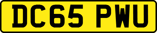 DC65PWU