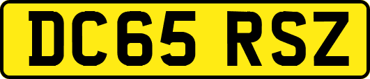 DC65RSZ
