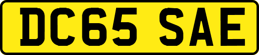 DC65SAE