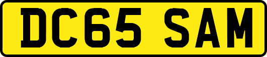 DC65SAM