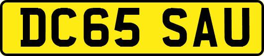 DC65SAU