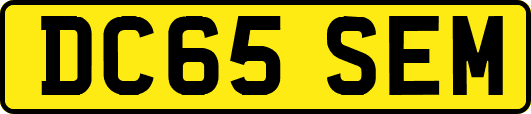 DC65SEM