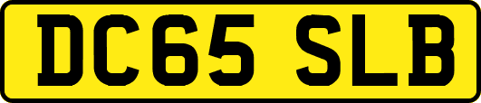 DC65SLB
