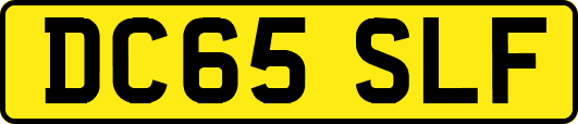 DC65SLF