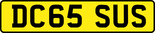 DC65SUS